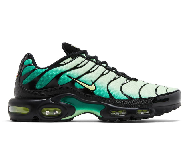 Nike Air Max Plus 'Vapor Green Gradient'