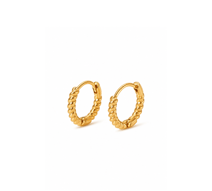Twist Earrings