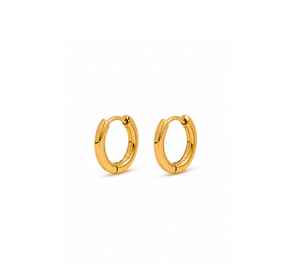 Micah Earrings