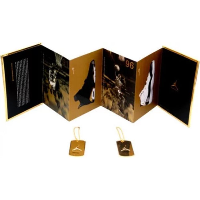 Air Jordan 6/11 Retro LE DMP 'Defining Moments Pack'