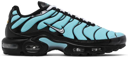 Nike Mens Air Max Plus 'Aqua Silver'