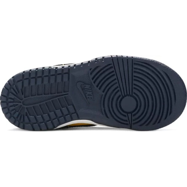 Dunk Low TD 'Michigan' 2021