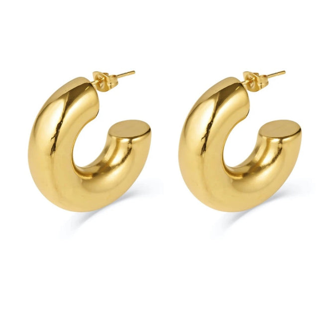 Celine Earrings
